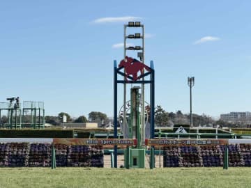 【新馬/中山5R】ハナ差の接戦！デイトナチャンプが人気に応える