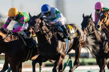 【ジュニアC】4着までハナ差の激戦！リゾートアイランドが人気に応える