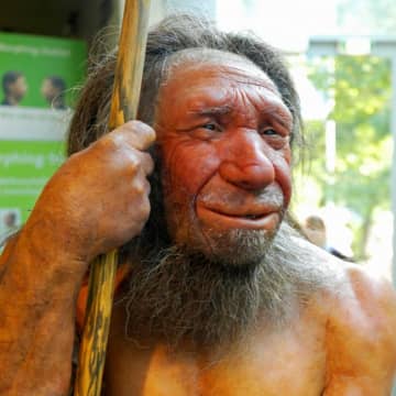 初期人類、人食いだった可能性！？