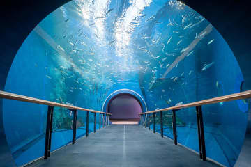 最強の穴場！絶景スポット・関西最大の博物館まで…「滋賀」のおすすめ観光地3選