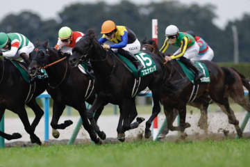 WIN5は277万円超の払戻し…東西で金杯が行われる