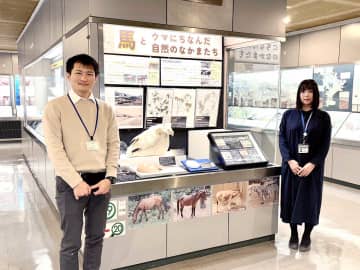 横須賀で干支の「午」テーマに企画展　目玉は「馬の頭骨」、名前に「ウマ」のつく生き物も展示　2月1日まで