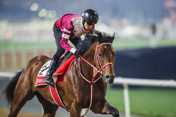 フォーエバーヤングがJRA賞3冠　馬主の「ウマ娘」藤田晋「前世は国かなんか救ってるんだと…」