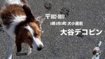 ”デコピンだらけ” 大谷が投稿した年賀状にファン爆笑　前年からの進化に「さすが」「可愛いしかなりおもろい」