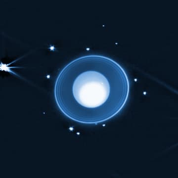 天王星本体と環、14個の衛星を1枚に　ウェッブ宇宙望遠鏡が捉えた天王星系