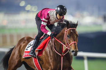 「JRAで1回も出走してない馬が…」　年度代表馬選考に納得の声「新しい時代」「それだけ大偉業」