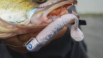 「ニンニクマシマシ」ルアーがにんにく臭い!? 大人気メーカーから登場する斬新ワーム。