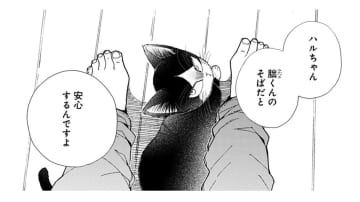 猫は僕のそばだと安心する？ そう言われても実感がわかない… オモチャを片付けようとしたら!?【同居人はひざ、時々、頭のうえ。 #27】