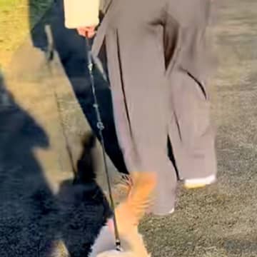 ママが大好きすぎる犬→お姉ちゃんが代わりにお散歩した結果…『散歩どころじゃない様子』が話題に「分かりやすい優先順位」「可愛すぎるｗ」