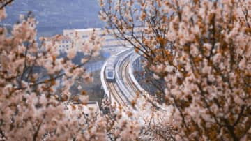 青島地下鉄 が開業10周年：約26億人の乗客を乗せ、スマートシティーの未来へ前進