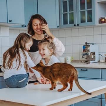 猫がいる暮らしが飼い主に与える『良い変化』4選　心身の健康にもたらす効果をご紹介