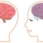 悪いことを思い出す脳の癖を和らげる記憶介入プログラム　富山大学などが開発・効果実証
