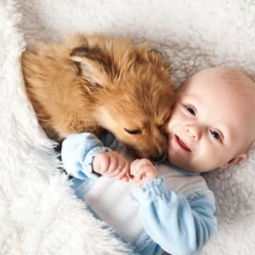 犬が『赤ちゃん』に優しくする理由とは？仲良くしてもらうための秘訣まで