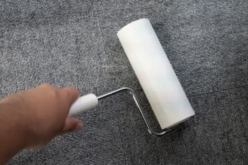 コロコロを使ってはいけない場所８選！「とりあえず掃除」が逆効果になるNGスポット