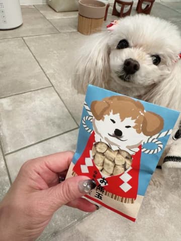 堀ちえみ、愛犬たちへお年玉を渡したことを報告「それぞれが欲しがり、収拾がつかない」