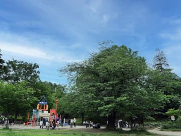 横浜18区で「名前がかっこいいと思う区」ランキング！ 2位「港南区」、1位は？【専門家の解説も】