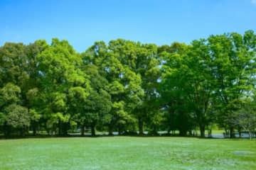 春空の下で手毬寿司づくり☆希望が丘「春のプチキャンプ」で親子でアウトドア体験を満喫しよう！