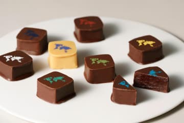 ミニマルのボンボンショコラ「ザ・シングルオリジン」風味異なる8か国のカカオ豆、産地を一新