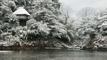 地域創生撮影活動　第五章　『写真は語る』名勝臥龍山荘庭園の軌跡