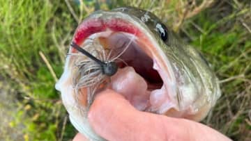 寒い冬はポイント選びが超重要。とくに河川は潮汐とベイトが絡むとグッドサイズも飛び出します！