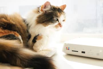 バッファロー「おもいでばこ」にバックアップした写真をスマホに書き戻す、iPhoneのLive Photosも再現可能！