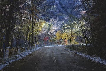 北海道舗装事業協会／フォト・ムービーコンテスト／最優秀賞に「季節の曲がり道」