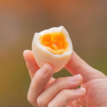 血液検査でわかる「健康長寿指標」とは？ 筋肉、骨、肌にも関係【名医が指南 100年元気な肝臓の作り方】#9