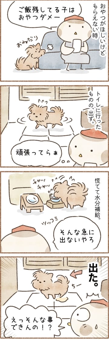 おやつのためなら！愛犬の頭脳プレーに驚いた話｜連載「こぐま犬てんすけ」vol.302