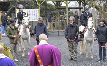 雨引観音、2頭の馬が初詣　茨城・桜川
