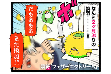 換羽期再び…それでも飼い主がインコに餌をたくさんあげてしまう理由に共感【鳥マンガ #181】