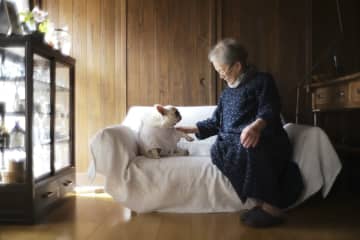 【第2の人生が輝き始めた！】76歳からの保護犬との暮らしを掲載したフォトエッセイ『とみとふく』