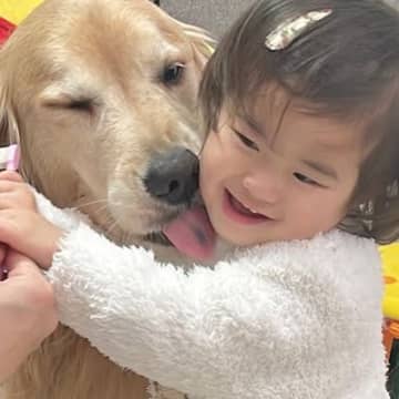 歯磨きを頑張る犬たち→1歳の女の子が近づいて…幸せに溢れている『尊い行動』が11万再生「自然と笑顔になっちゃう」「すべてが可愛い」と絶賛