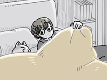 先に寝ていた愛猫　飼い主がそっとベッドに入ると…？「あるある」「めっちゃ分かる」