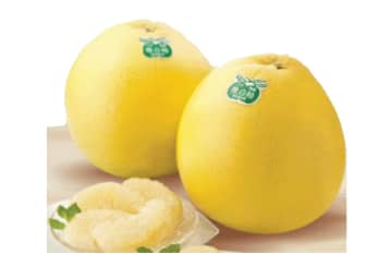 イオン、1月29日から香港13店舗で熊本県八代地方産「晩白柚」販売