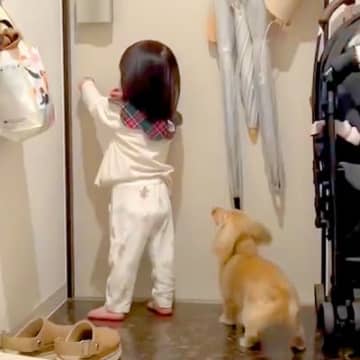 出張からパパが帰宅→小さな女の子と犬が玄関で待ち構えて…泣けるほど幸せな『尊い光景』が558万表示「熱烈歓迎」「早送りみたいｗ」と絶賛