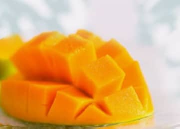 OICグループ／沖縄県北部最大級のマンゴー農園、事業譲受