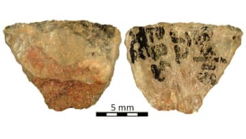 6万年前の矢から毒物検出、当時の狩猟戦略に新たな知見　南アフリカ