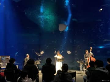 茨城ゆかりのアーティストが夜の水族館でライブ「ミュージックナイトin アクアワールド・大洗」開催