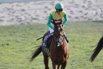 【門松S】武豊騎手が今年の初勝利…ヒルノドゴールで差し切りV