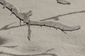 北海道の居酒屋でぼったくりに遭ったと中国人女性＝厨房から「ドンッ」、出てきた店主は鬼の形相