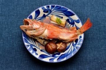 【医師監修】妊娠中にユメカサゴは食べていい？それともダメ？