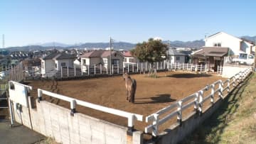 庭の広さは約375平米！神奈川県で“馬と暮らす”という夢をかなえた家族の家は地域の憩いの場に