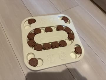 【SHEIN猫グッズ】食いしん坊な猫ちゃんへの早食い対策に◎「パズルトイ」で遊びながら健康管理！