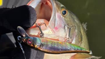 カラーは48種類以上⁉ 世界に誇る日本製ルアー「ワンテン」とは【1月10日はワンテンの日！】