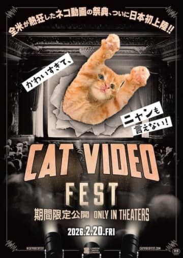 観るだけでネコを救う！世界が熱狂したネコ動画の祭典が日本初上陸『CatVideoFest』公開決定