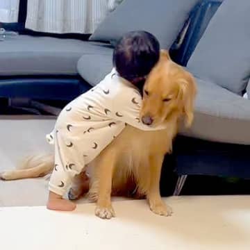 自分より早く生まれた『大型犬』が大好きな1歳の男の子→尊すぎる『愛を伝える成長記録』が163万再生「好き好きスリスリ」「可愛い兄弟」