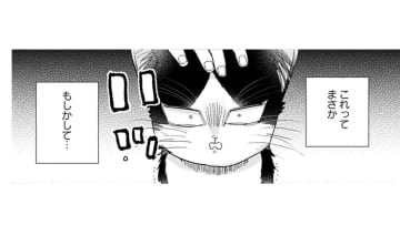 【猫視点】ごはんの言葉が聞こえた！ まだあるのかと思ったらない！だまされた～!!【同居人はひざ、時々、頭のうえ。 #31】