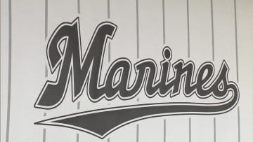 【ロッテ】ドミニカ共和国出身の20歳左腕と育成契約「常に100％の全力を尽くし、チームの勝利に貢献できるよう努力」背番号は139