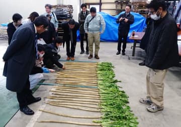 伝統野菜・守口大根を守る 母本選抜で種の保存へ 愛知県漬物協会