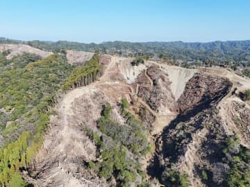 鴨川メガソーラー　違反伐採、一部先行復旧へ　千葉県、事業者に許可